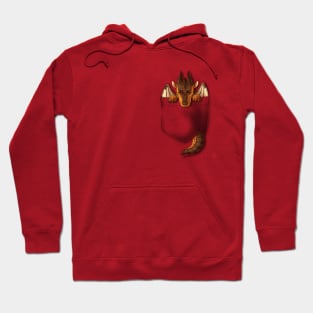 Wings of Fire - Clay Pocket Dragon Hoodie